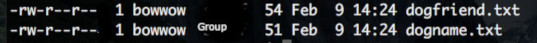 files owned by the user account bowwow